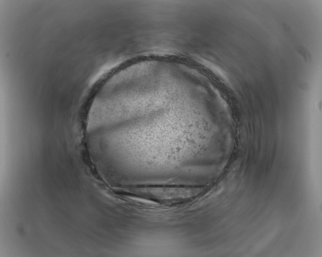 X0000113861160200910081700