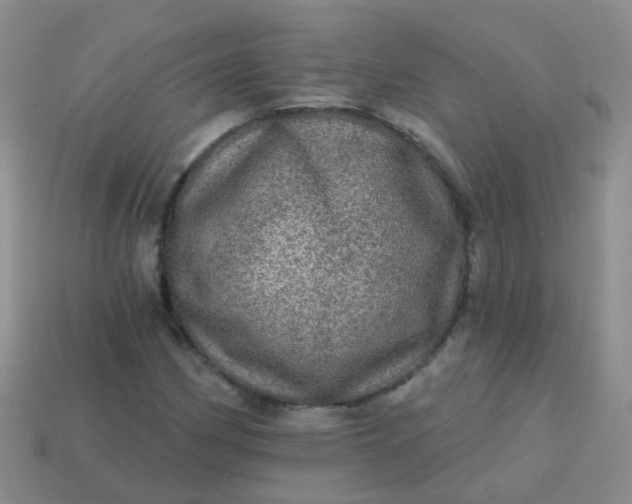 X0000113861162200910081700
