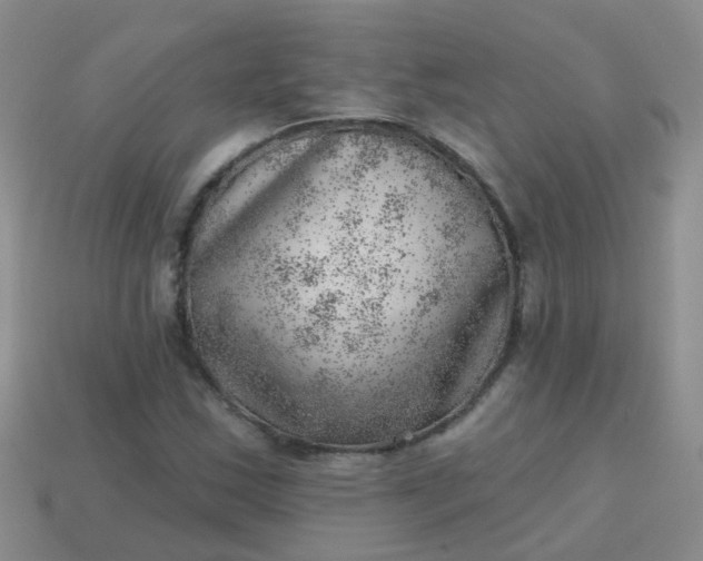 X0000113861163200910081700
