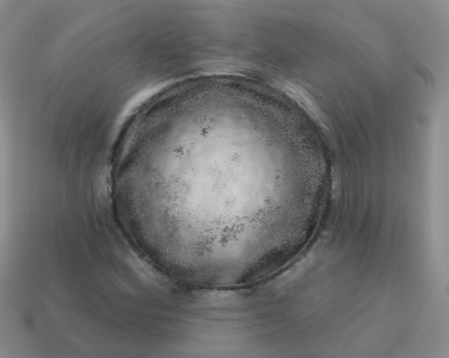 X0000113861164200910081700