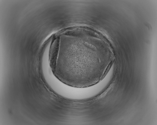 X0000113861165200910081700