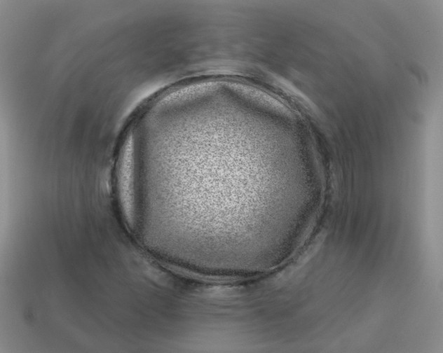 X0000113861166200910081700
