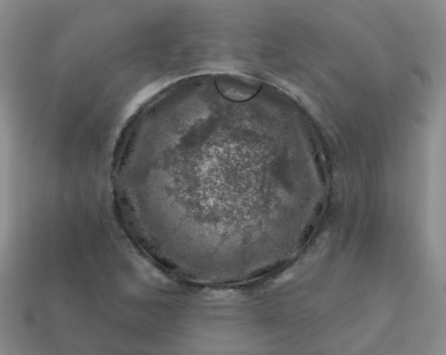 X0000113861168200910081700