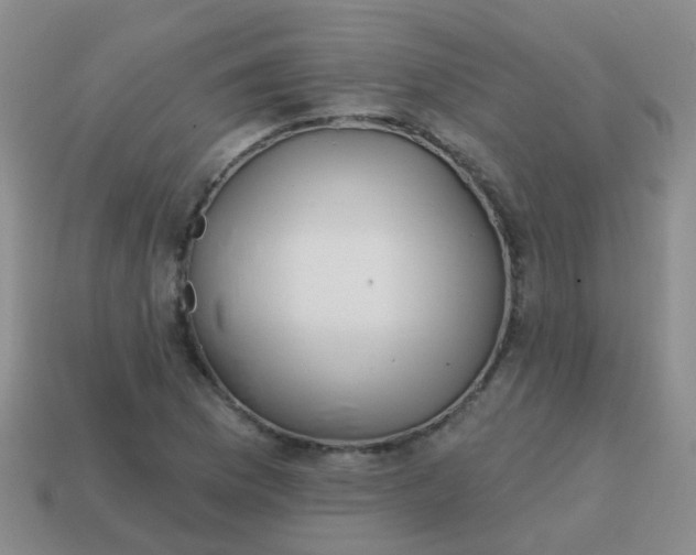 X0000113861169200910081700