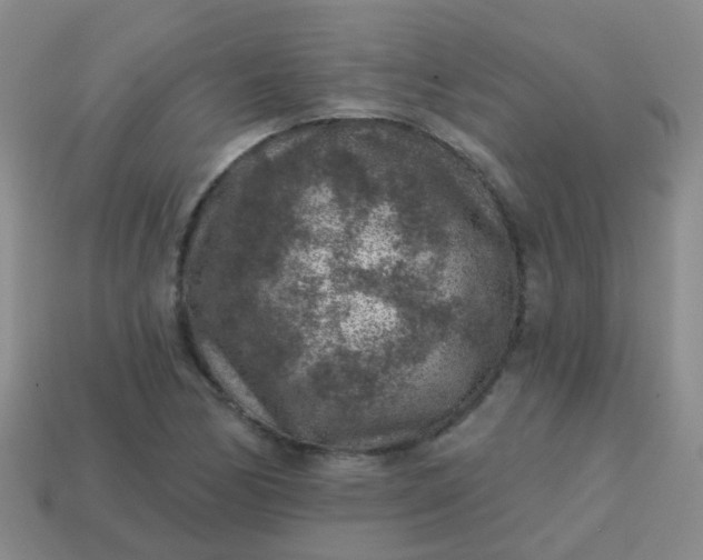 X0000113861170200910081700