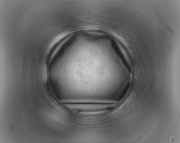 X0000113861171200910081700