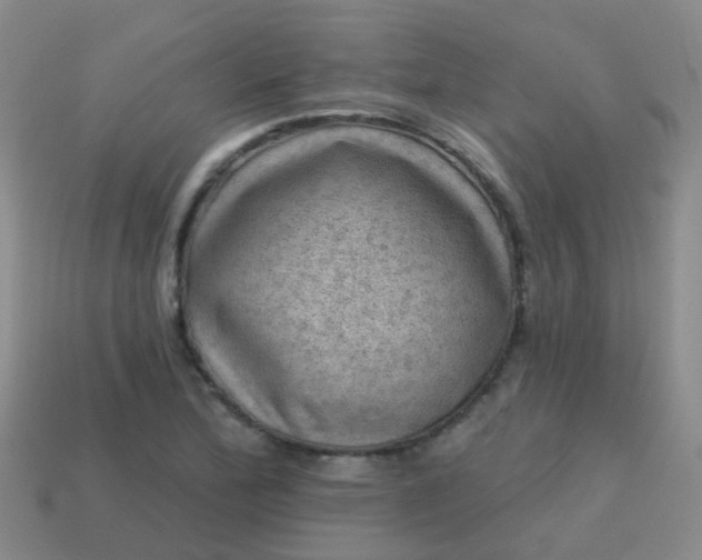 X0000113861172200910081700