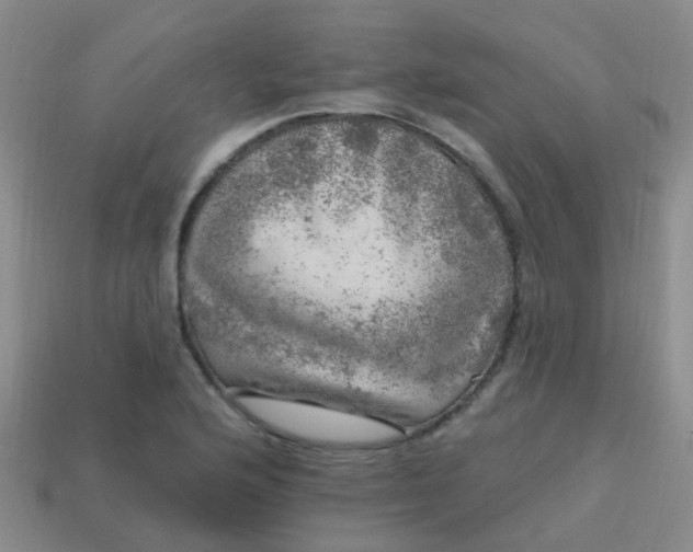X0000113861176200910081700