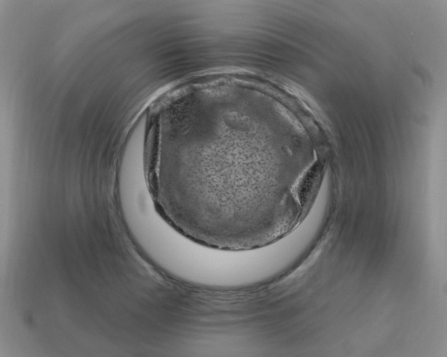 X0000113861177200910081700