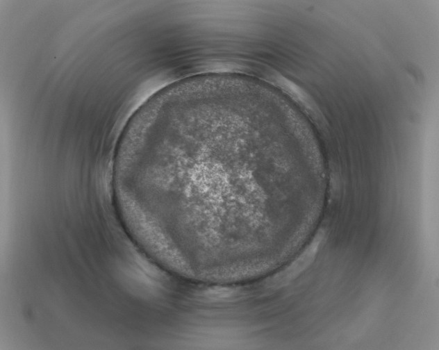 X0000113861178200910081700