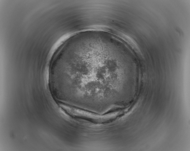 X0000113861180200910081700