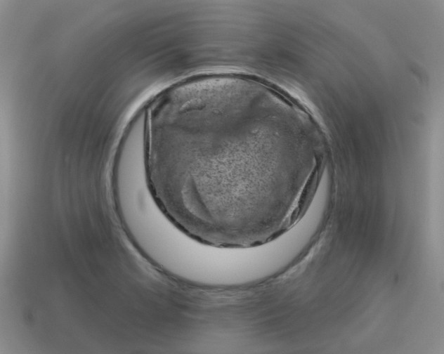 X0000113861181200910081700