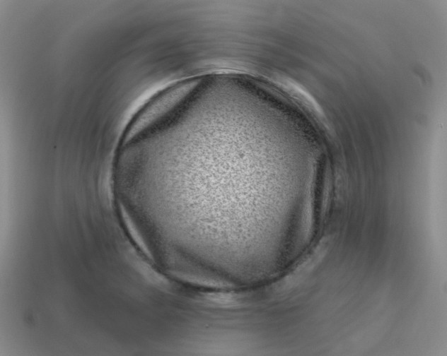 X0000113861182200910081700