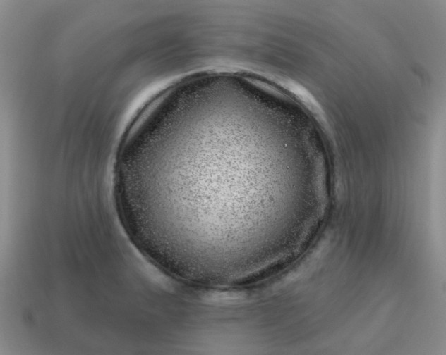 X0000113861183200910081700