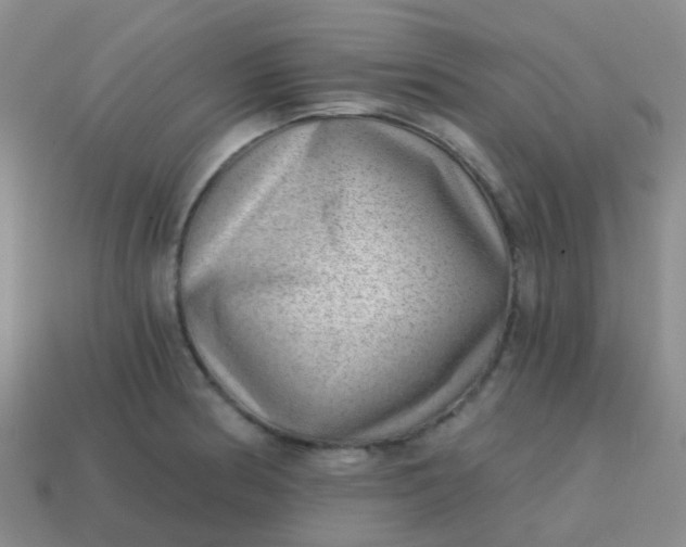 X0000113861186200910081700