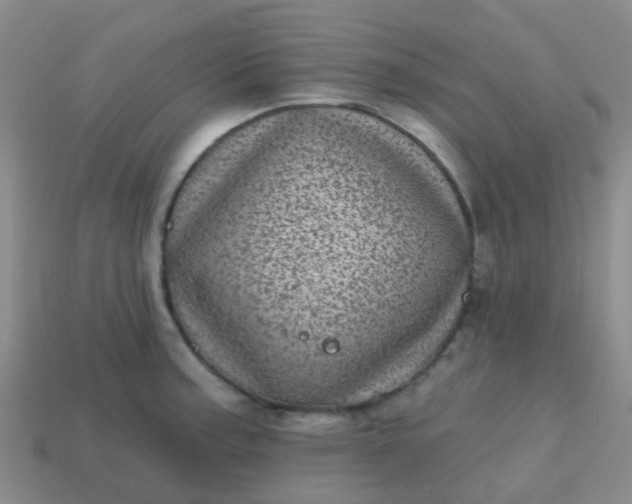 X0000113861187200910081700