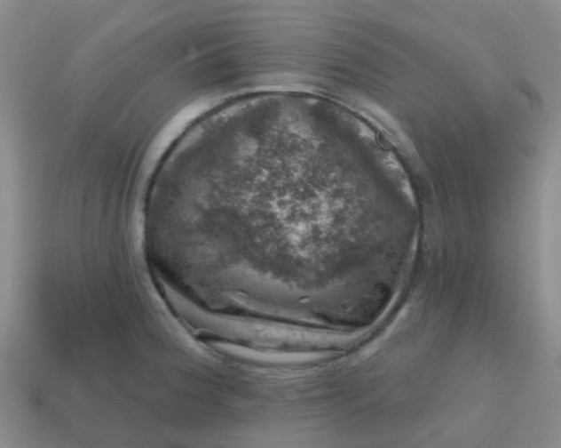 X0000113861188200910081700
