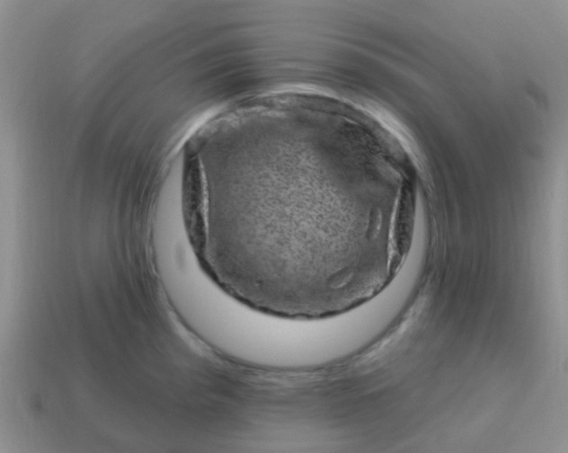 X0000113861193200910081659