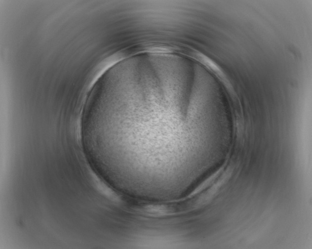 X0000113861194200910081659