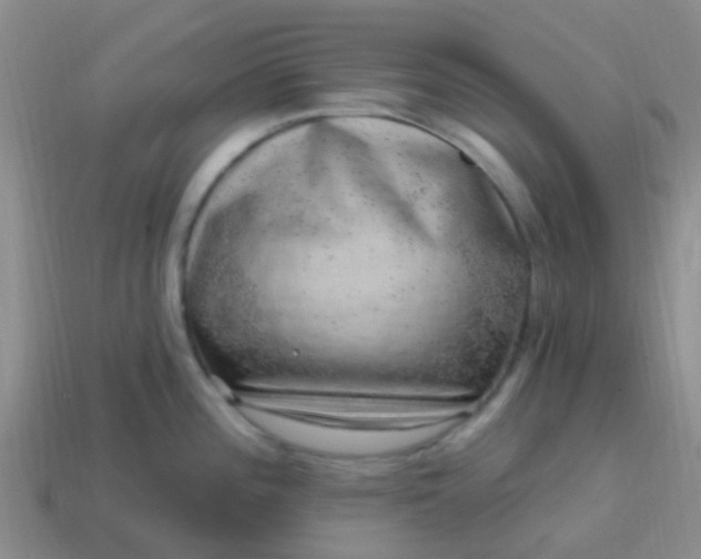 X0000113861196200910081659