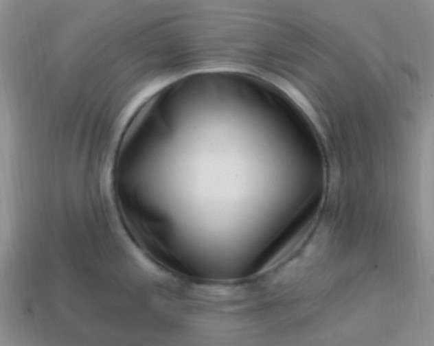 X0000113861197200910081659