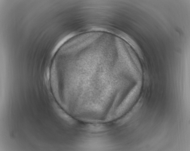 X0000113861198200910081659