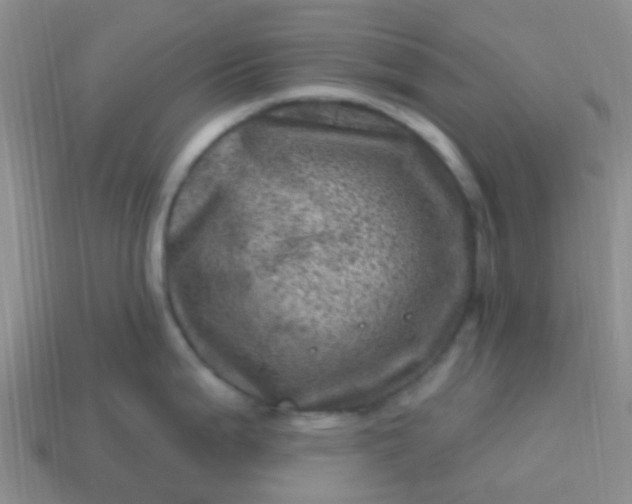 X0000113861199200910081659