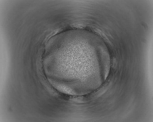 X0000113861201200910081659