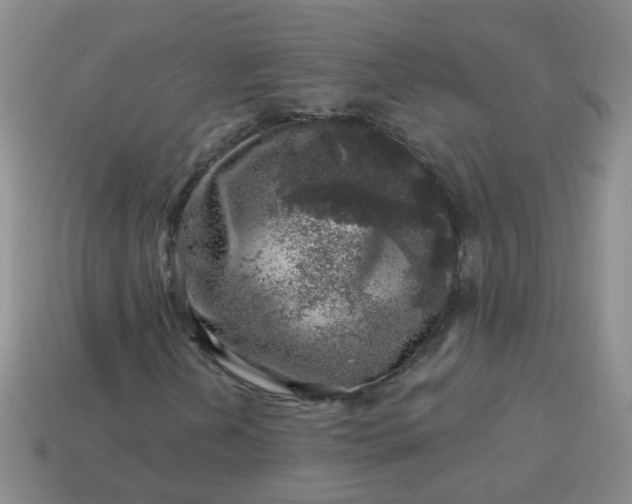 X0000113861202200910081659