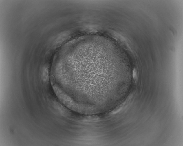 X0000113861203200910081659