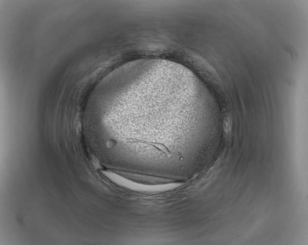 X0000113861204200910081659