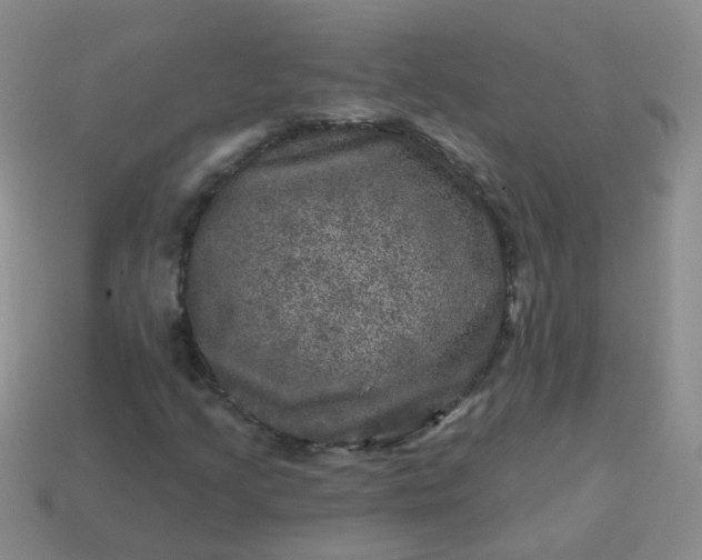 X0000113861205200910081659