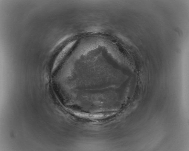 X0000113861206200910081659