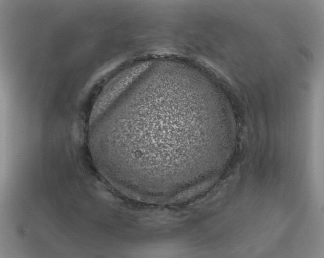 X0000113861207200910081659