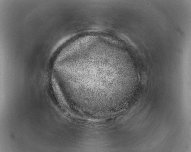 X0000113861208200910081659