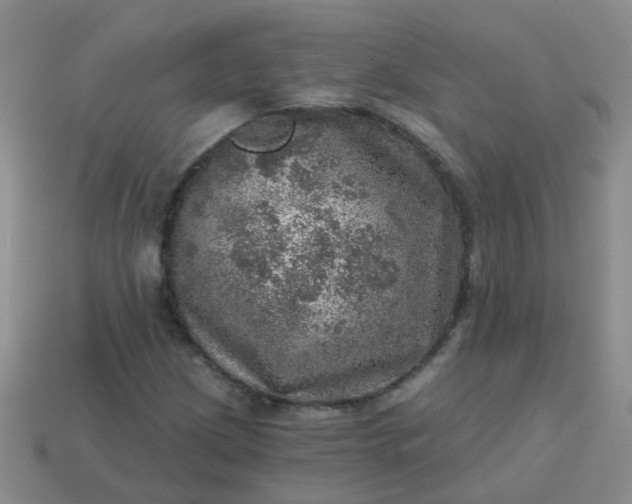 X0000113861209200910081659