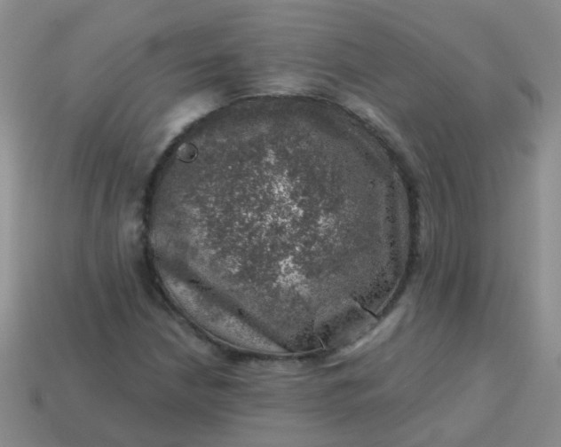 X0000113861210200910081659