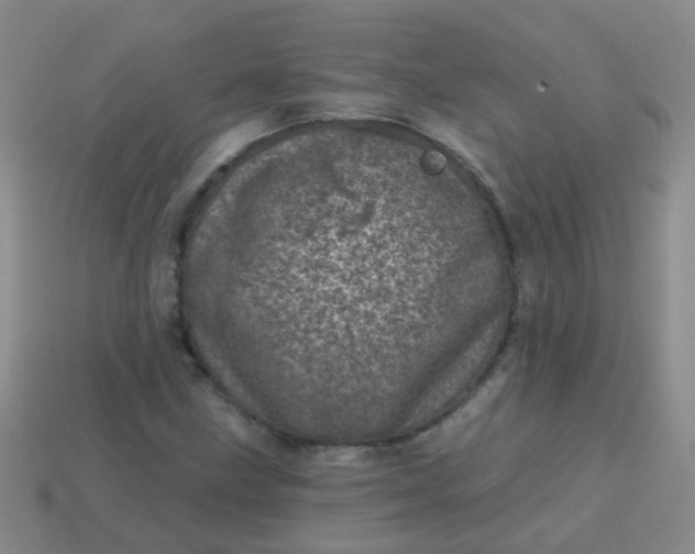 X0000113861211200910081659