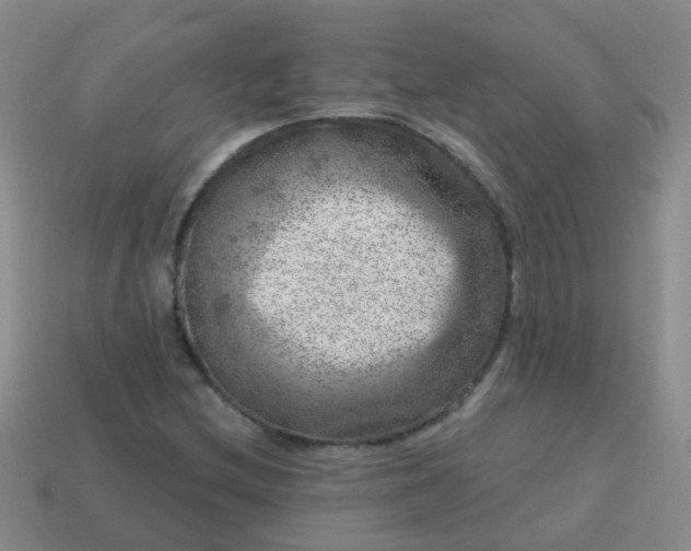 X0000113861212200910081659