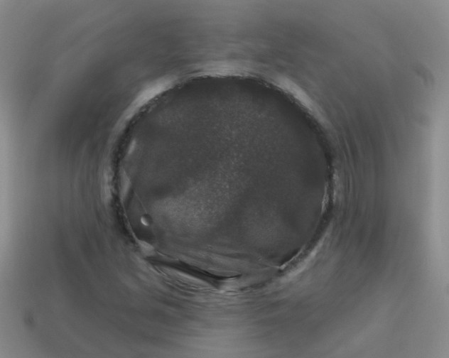 X0000113861213200910081659