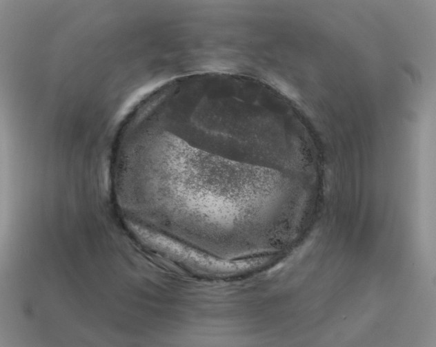 X0000113861214200910081659