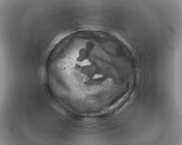 X0000113861215200910081659