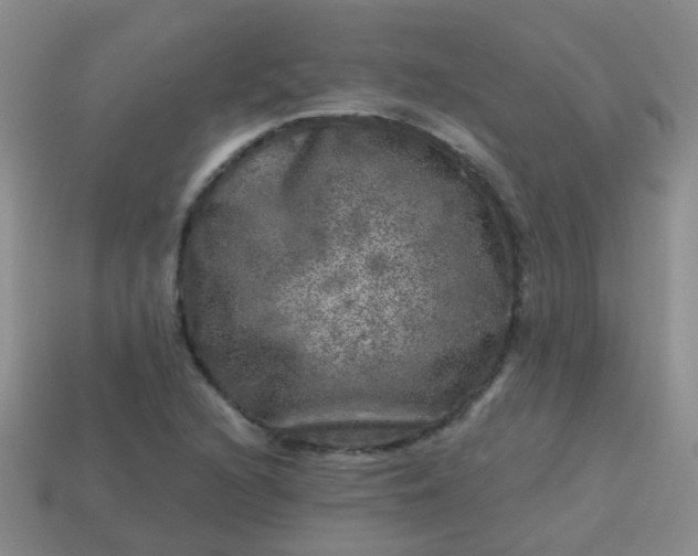 X0000113861216200910081659