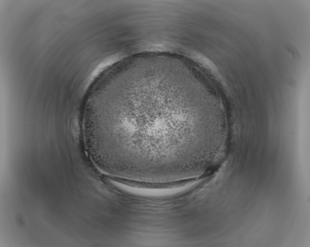 X0000113861218200910081659