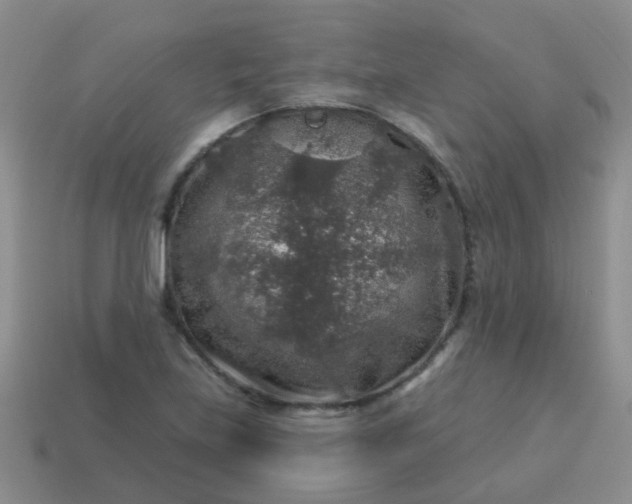 X0000113861219200910081659