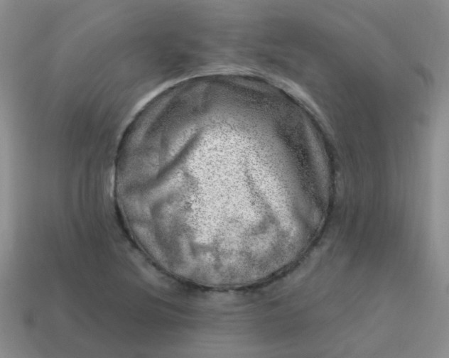 X0000113861220200910081659