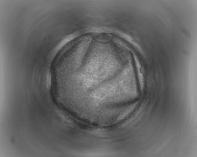 X0000113861221200910081659