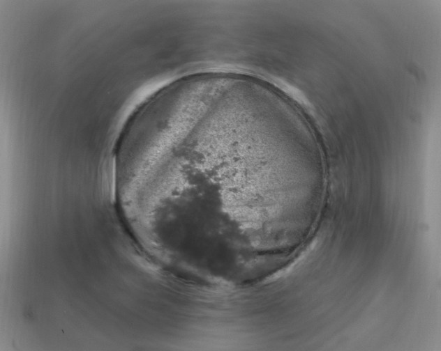 X0000113861223200910081659