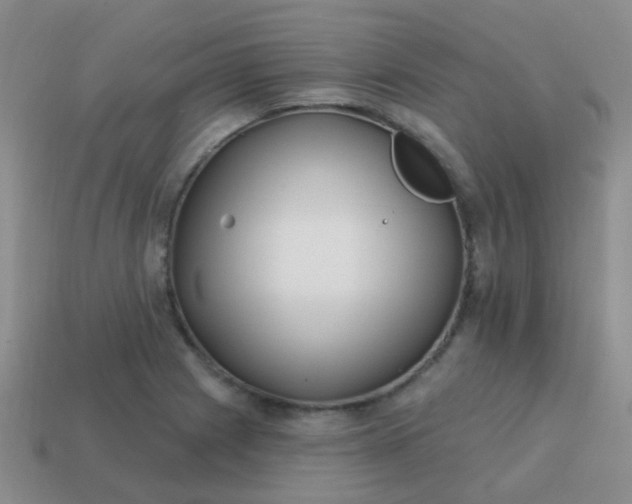 X0000113861225200910081659