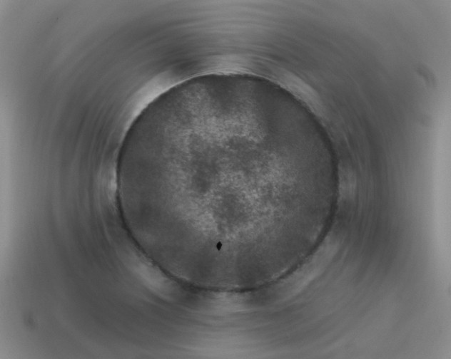 X0000113861226200910081659